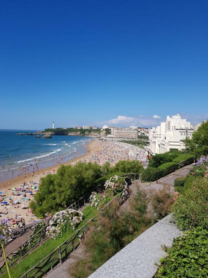 Appartement Bellevue 766 Biarritz Extérieur photo